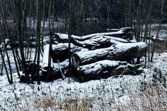 {"identifier":"leica.lux.filters.processed","version":"1.3","data":"eyJjb25maWd1cmF0aW9uIjp7ImFwcGx5TFBDV2FycGluZyI6ZmFsc2UsImxvb2tzIjp7ImZvY3VzUG9pbnQiOnsiZGVmYXVsdCI6e319LCJsdXQiOnsiZXRlcm5hbCI6e319LCJsdXRCbGVuZEZhY3RvciI6MSwiY3JvcENlbnRlciI6WzAuNDM4ODk5MjUzNzMxMzQzMywwLjVdLCJhc3BlY3RSYXRpbyI6eyJvcmllbnRhdGlvbiI6eyJyZWd1bGFyIjp7fX0sInJhdGlvIjp7Il8xXzEiOnt9fX0sInNpbXVsYXRlZEFwZXJ0dXJlIjoxNiwidXNlc05hdGl2ZURpZ2l0YWxab29tIjpmYWxzZSwidHJhY2tlZExhbmRtYXJrcyI6W10sImdyYWluIjp7InNlZWQiOjM1LCJ1c2VyQmxlbmRGYWN0b3IiOjB9LCJvcGFjaXR5VG9uZSI6MX19LCJpc0ZyYW1lZCI6dHJ1ZSwiY2FwdHVyZUNvbmZpZ3VyYXRpb24iOnsiZnJvbnRDYW1lcmFNaXJyb3JpbmdFbmFibGVkIjpmYWxzZSwibGVuc1Bvc2l0aW9uIjp7ImJhY2siOnt9fX19"}