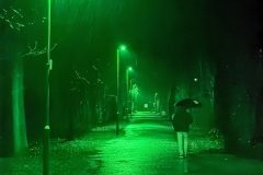 {"version":"1.3","data":"eyJjYXB0dXJlQ29uZmlndXJhdGlvbiI6eyJmcm9udENhbWVyYU1pcnJvcmluZ0VuYWJsZWQiOmZhbHNlLCJsZW5zUG9zaXRpb24iOnsiYmFjayI6e319fSwiaXNGcmFtZWQiOnRydWUsImNvbmZpZ3VyYXRpb24iOnsiYXBwbHlMUENXYXJwaW5nIjpmYWxzZSwibG9va3MiOnsic2ltdWxhdGVkQXBlcnR1cmUiOjE2LCJvcGFjaXR5VG9uZSI6MSwiY3JvcENlbnRlciI6WzAuNSwwLjU2NDA1NDcyNjM2ODE1OTJdLCJsdXRCbGVuZEZhY3RvciI6MSwiZm9jdXNQb2ludCI6eyJkZWZhdWx0Ijp7fX0sImdyYWluIjp7InNlZWQiOjk4LCJ1c2VyQmxlbmRGYWN0b3IiOjB9LCJhc3BlY3RSYXRpbyI6eyJyYXRpbyI6eyJfMV8xIjp7fX0sIm9yaWVudGF0aW9uIjp7InJlZ3VsYXIiOnt9fX0sInRyYWNrZWRMYW5kbWFya3MiOltdLCJsdXQiOnsidml2aWQiOnt9fSwidXNlc05hdGl2ZURpZ2l0YWxab29tIjpmYWxzZX19fQ==","identifier":"leica.lux.filters.processed"}