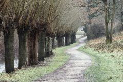 {"data":"eyJjYXB0dXJlQ29uZmlndXJhdGlvbiI6eyJmcm9udENhbWVyYU1pcnJvcmluZ0VuYWJsZWQiOmZhbHNlLCJsZW5zUG9zaXRpb24iOnsiYmFjayI6e319fSwiY29uZmlndXJhdGlvbiI6eyJsb29rcyI6eyJzaW11bGF0ZWRBcGVydHVyZSI6MTYsImZvY3VzUG9pbnQiOnsiZGVmYXVsdCI6e319LCJhc3BlY3RSYXRpbyI6eyJyYXRpbyI6eyJfMV8xIjp7fX0sIm9yaWVudGF0aW9uIjp7InJlZ3VsYXIiOnt9fX0sIm9wYWNpdHlUb25lIjoxLCJ1c2VzTmF0aXZlRGlnaXRhbFpvb20iOmZhbHNlLCJsdXQiOnsiY2hyb21lIjp7fX0sImx1dEJsZW5kRmFjdG9yIjoxLCJncmFpbiI6eyJzZWVkIjo4MSwidXNlckJsZW5kRmFjdG9yIjowfSwiY3JvcENlbnRlciI6WzAuNSwwLjVdLCJ0cmFja2VkTGFuZG1hcmtzIjpbXX0sImFwcGx5TFBDV2FycGluZyI6dHJ1ZX0sImlzRnJhbWVkIjp0cnVlfQ==","version":"1.3","identifier":"leica.lux.filters.processed"}