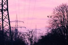 {"data":"eyJjYXB0dXJlQ29uZmlndXJhdGlvbiI6eyJsZW5zUG9zaXRpb24iOnsiYmFjayI6e319LCJmcm9udENhbWVyYU1pcnJvcmluZ0VuYWJsZWQiOmZhbHNlfSwiY29uZmlndXJhdGlvbiI6eyJsb29rcyI6eyJmb2N1c1BvaW50Ijp7ImRlZmF1bHQiOnt9fSwidXNlc05hdGl2ZURpZ2l0YWxab29tIjpmYWxzZSwibHV0QmxlbmRGYWN0b3IiOjEsImx1dCI6eyJldGVybmFsIjp7fX0sIm9wYWNpdHlUb25lIjoxLCJsZW5zIjp7ImFwb3RlbHl0MTM1ZjM0Ijp7fX0sInRyYWNrZWRMYW5kbWFya3MiOltdLCJncmFpbiI6eyJ1c2VyQmxlbmRGYWN0b3IiOjAsInNlZWQiOjYxfSwic2ltdWxhdGVkQXBlcnR1cmUiOjgsImFzcGVjdFJhdGlvIjp7Im9yaWVudGF0aW9uIjp7InJlZ3VsYXIiOnt9fSwicmF0aW8iOnsiXzFfMSI6e319fSwiY3JvcENlbnRlciI6WzAuNDkyNTM3MzY5NTY5NjM3ODQsMC41MTI0Mzc3MTczODM5MzY3XX0sImFwcGx5TFBDV2FycGluZyI6ZmFsc2V9LCJpc0ZyYW1lZCI6dHJ1ZX0=","identifier":"leica.lux.filters.processed","version":"1.3"}